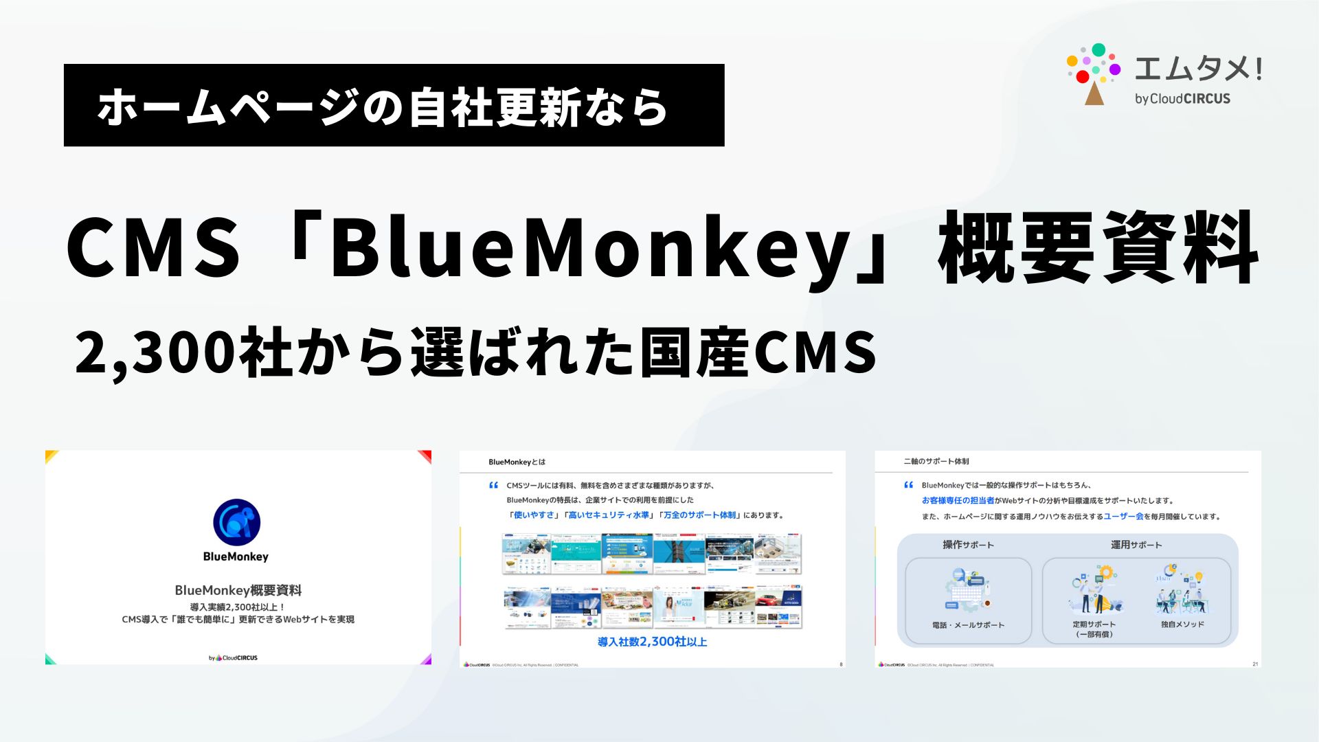CMS BlueMonkey 概要資料